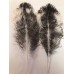 FEATHERS OSTRICH SPADS Natural 16" x 6"